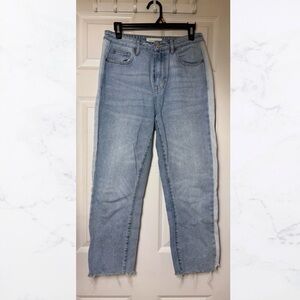 Pacsun Light Blue Women's Mom Jean - Size 27 Waist